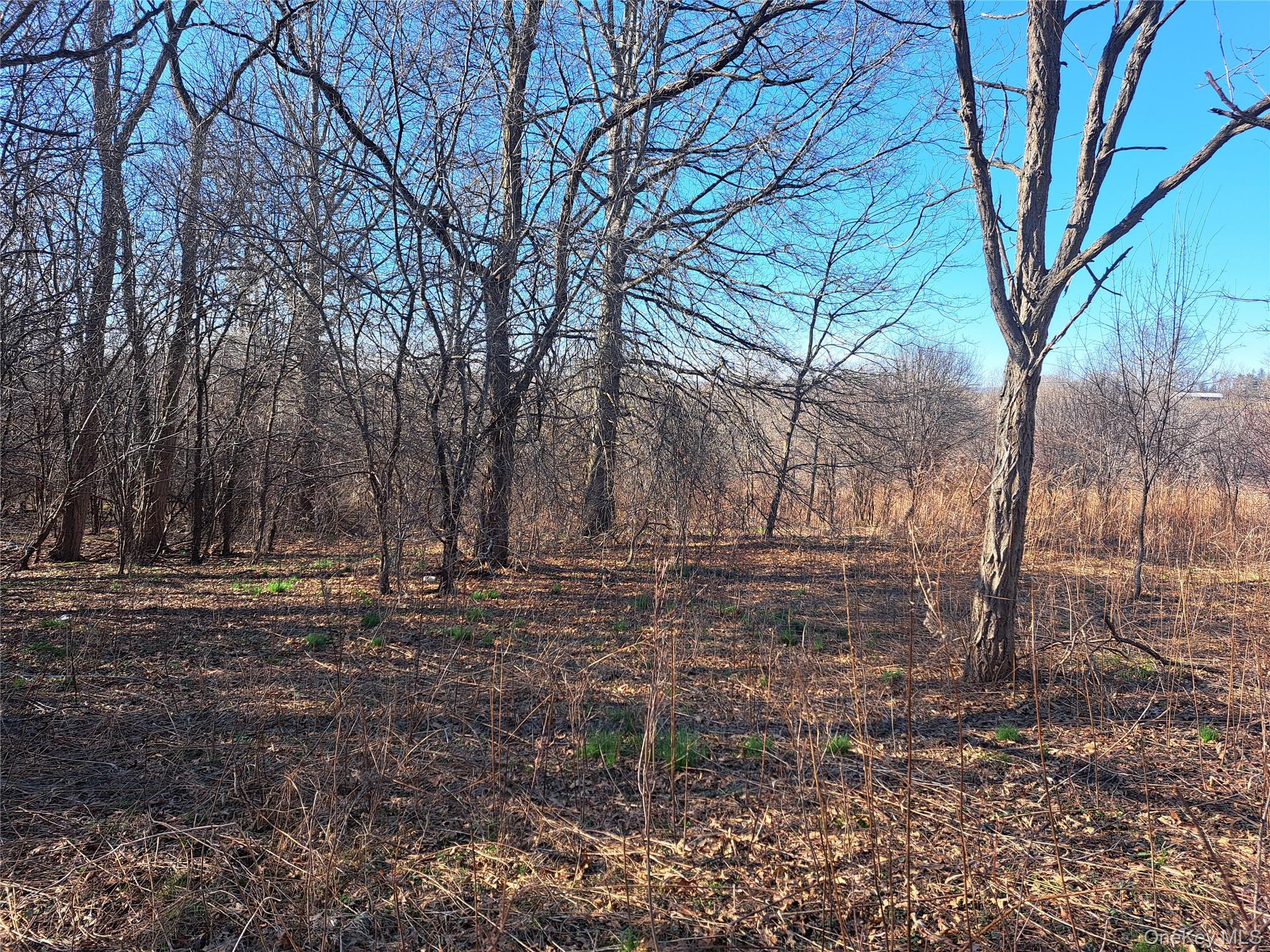 Tbd Kiernan Road Campbell Hall, NY 10916 - Photo 4 of 6 a backyard of a house with lots of green space