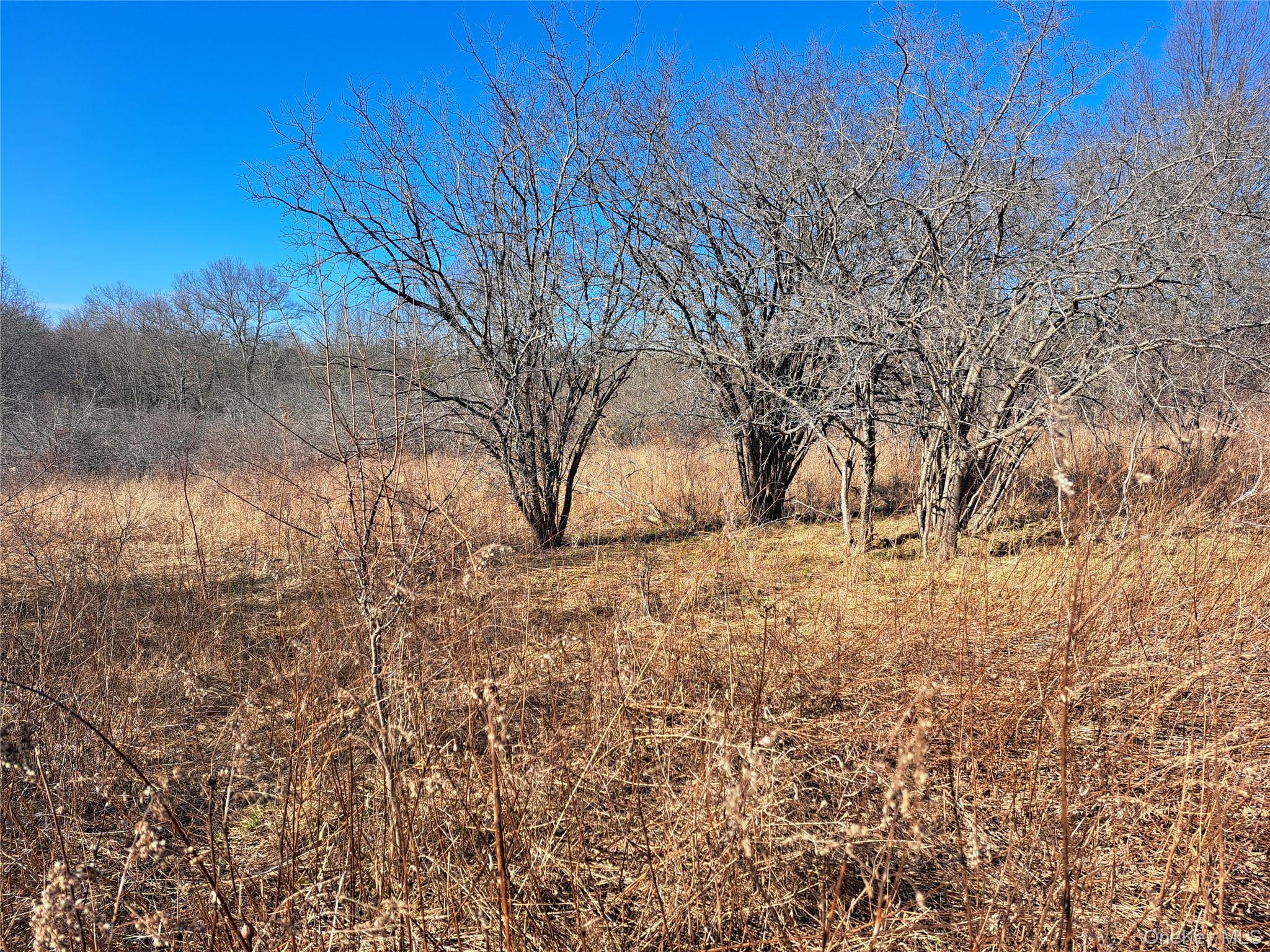 Tbd Kiernan Road Campbell Hall, NY 10916 - Photo 5 of 6 a view of outdoor space and yard