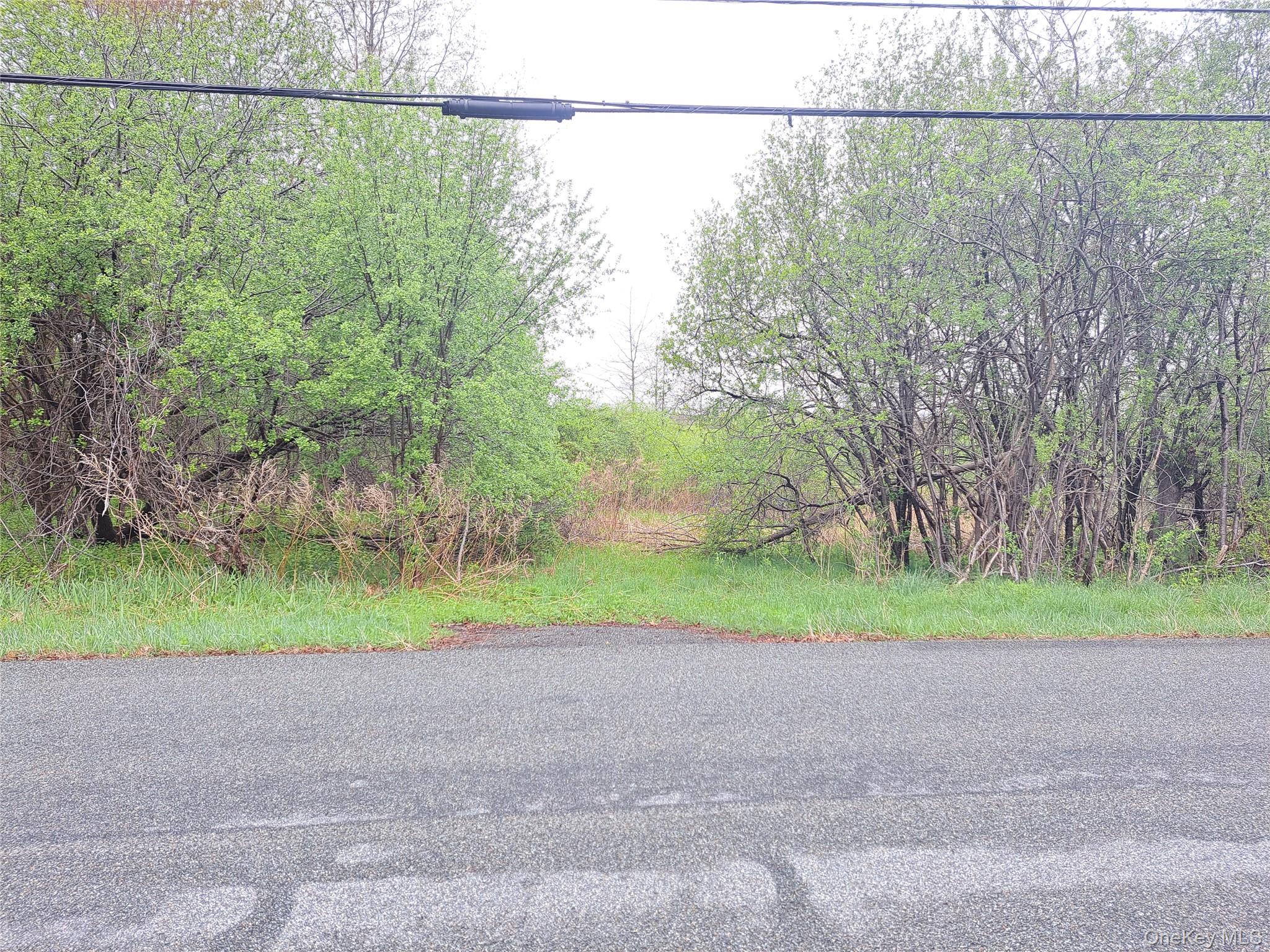 Tbd Kiernan Road Campbell Hall, NY 10916 - Photo 6 of 9