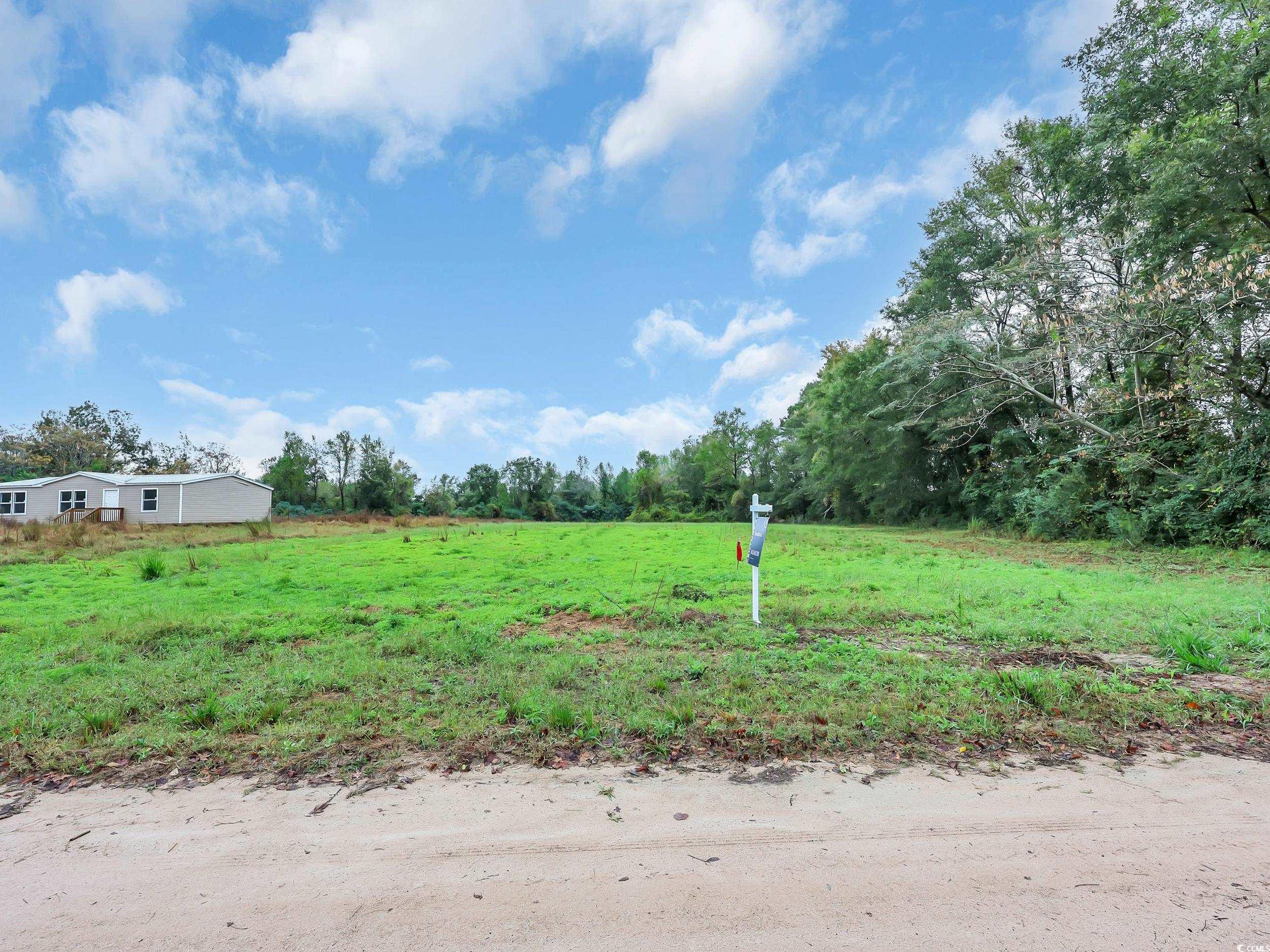 Tbd Willow Grove Drive Loris, SC 29569 - Photo 4 of 34