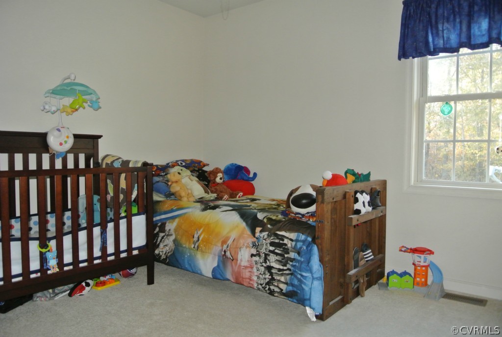 9550 Robin Road Disputanta, VA 23842 - Photo 16 of 22 Gallery Image 16