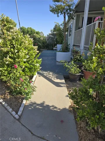 a view of a yard with plants