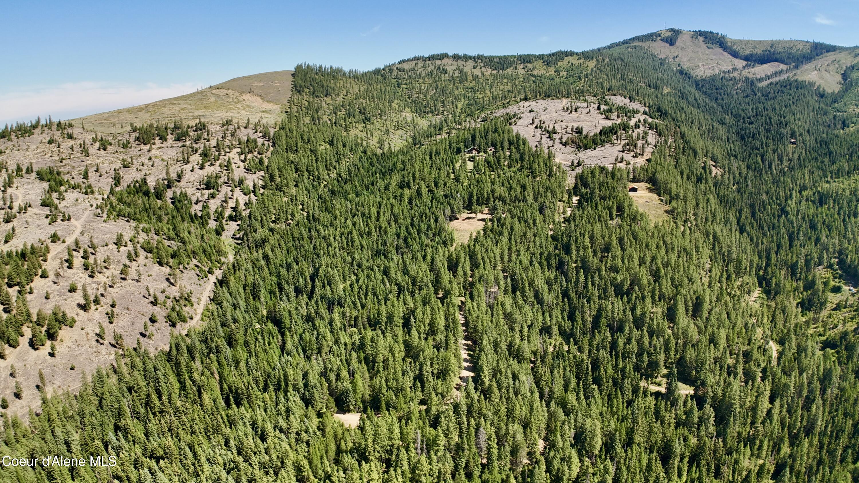 1710 Tower Mountain Road Blanchard, ID 83804 - Photo 40 of 44 41