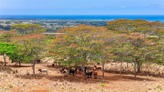 a view of outdoor space and city view