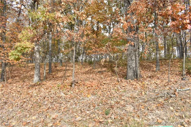$12,000 | Lot 225 Imperial Point Dr Lake, Lake Ozark, MO 65049
