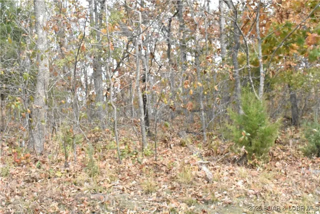 $12,000 | Lot 225 Imperial Point Dr Lake, Lake Ozark, MO 65049