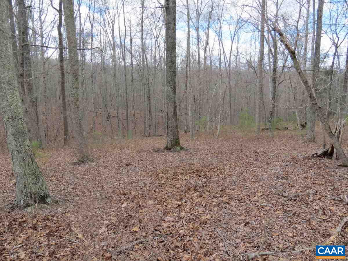 B1 Thunder Ridge Road Afton, VA 22920 - Photo 7 of 12 a view of outdoor space