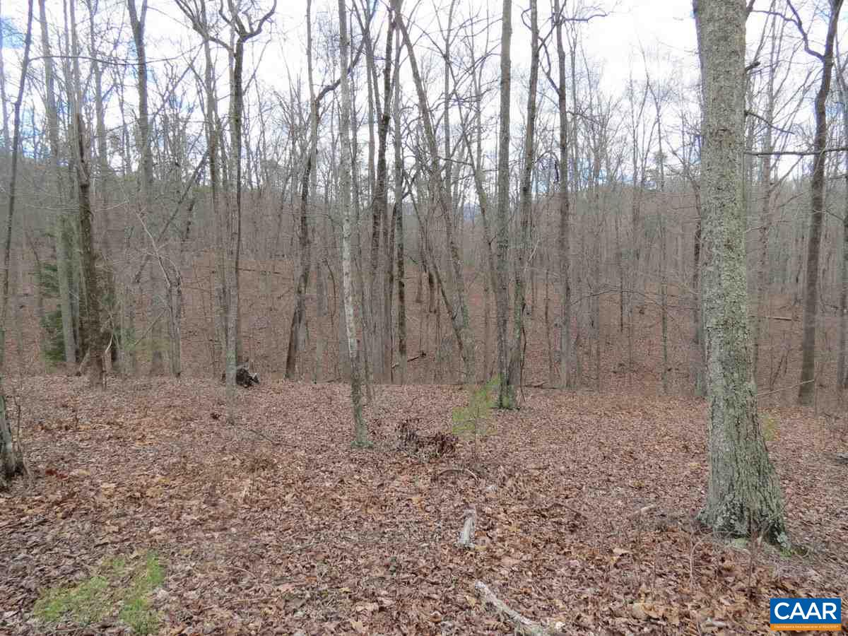 B1 Thunder Ridge Road Afton, VA 22920 - Photo 8 of 12 a view of small space with wooden fence
