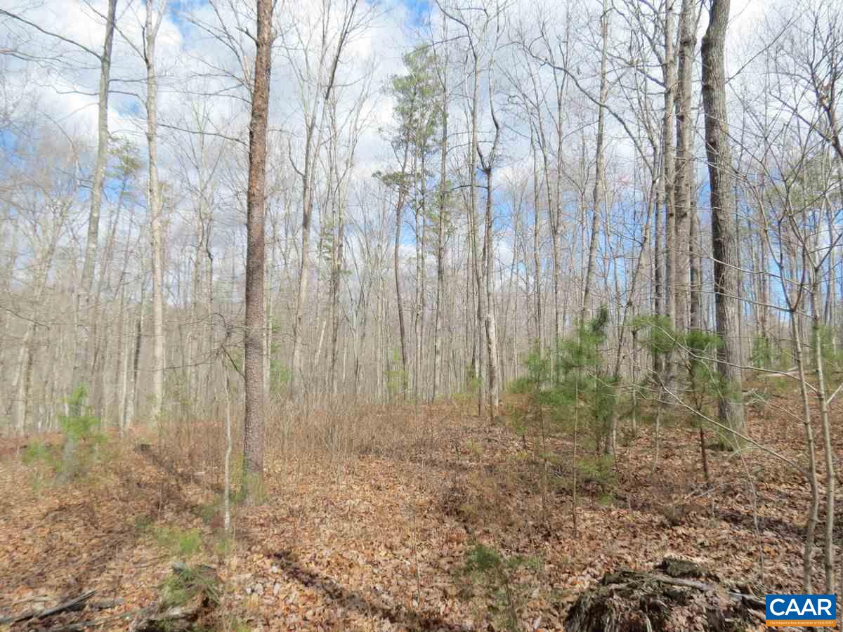 B1 Thunder Ridge Road Afton, VA 22920 - Photo 10 of 12 a view of a backyard