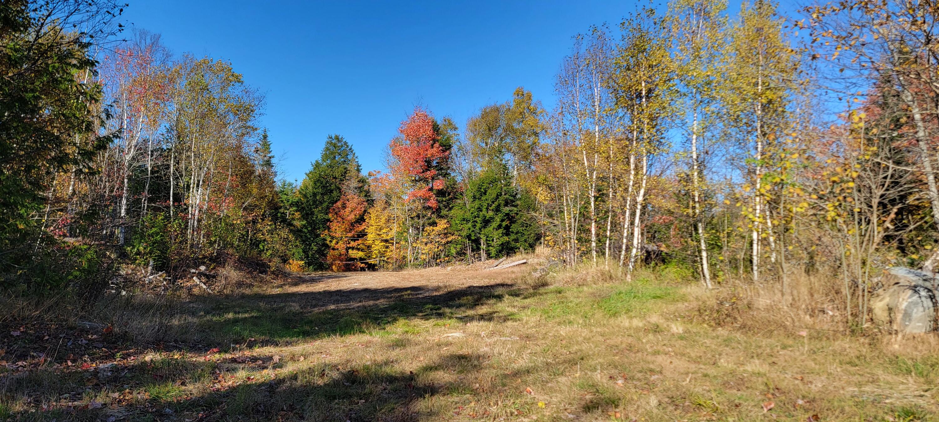 51 East Ridge Road Cooper, ME 04657 - Photo 1 of 10 1000012902