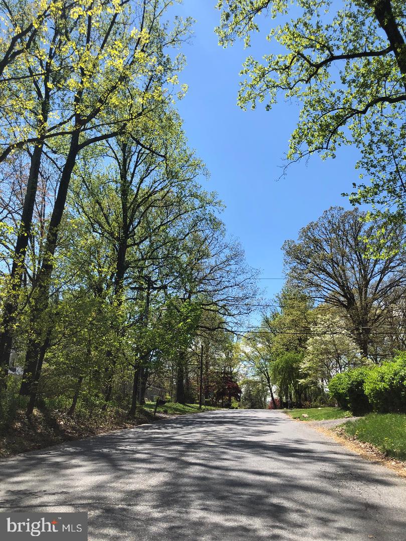 25 Cedarhill Road Randallstown, MD 21133 - Photo 35 of 37 Beautiful Street Scene