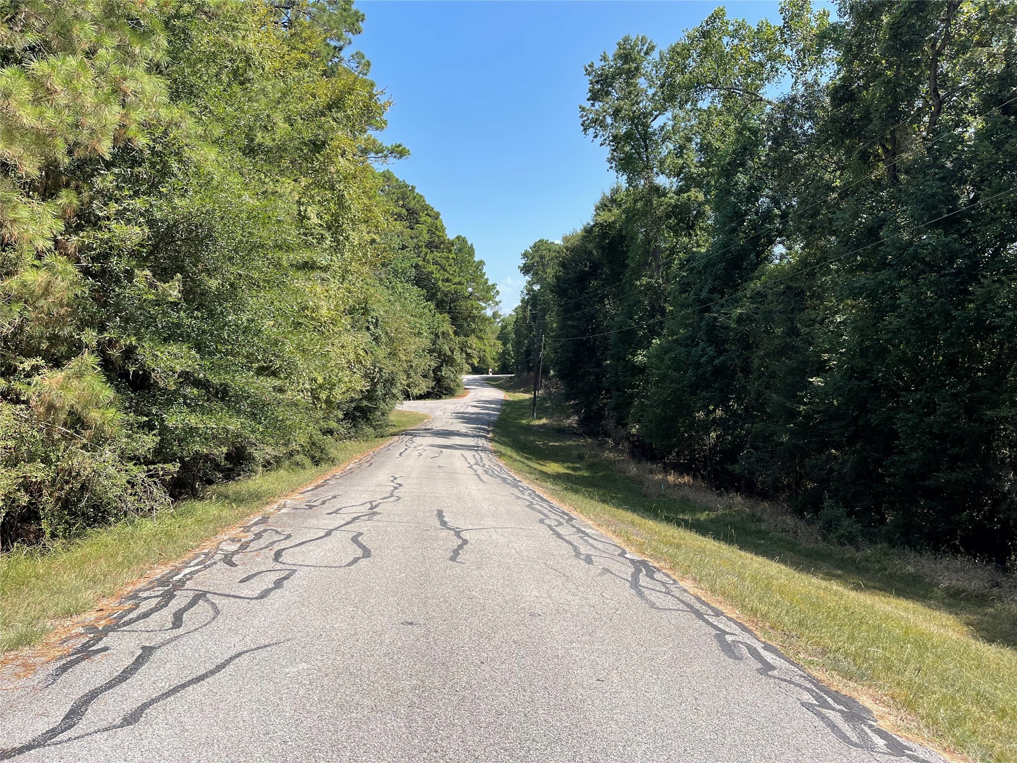 Tbd Valleyview Drive Onalaska, TX 77360 - Photo 1 of 4