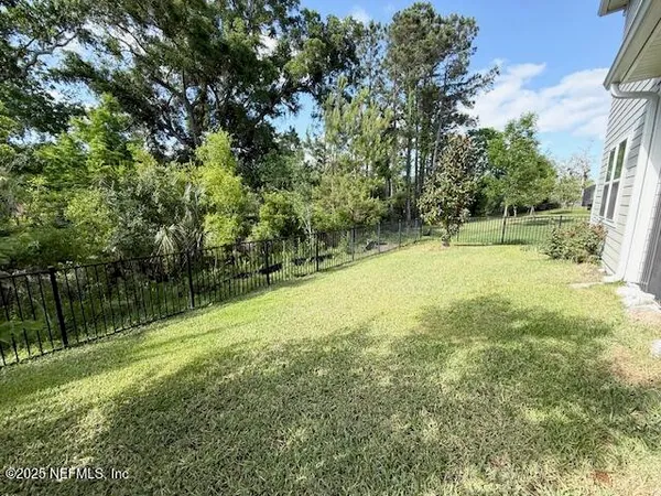 a view of a yard with a tree