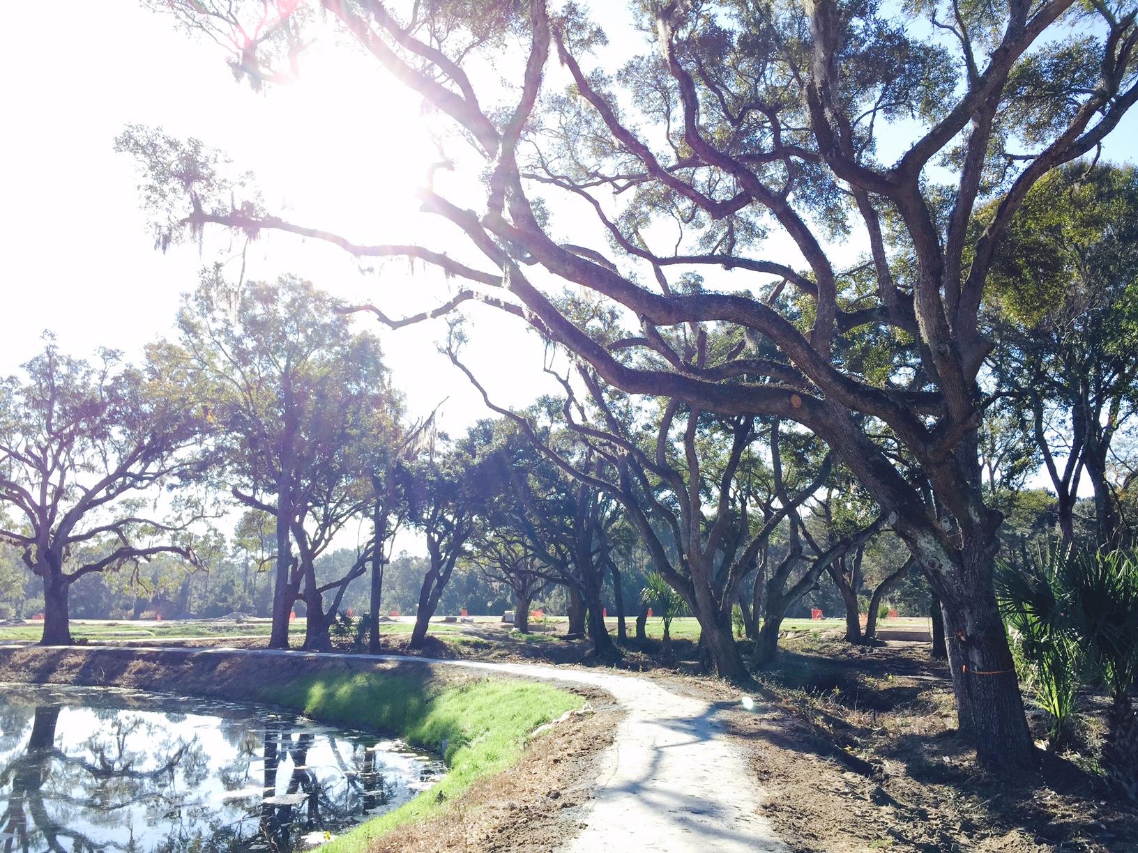 1468 Red Tide Road Mount Pleasant, SC 29466 - Photo 22 of 23 Walking trails