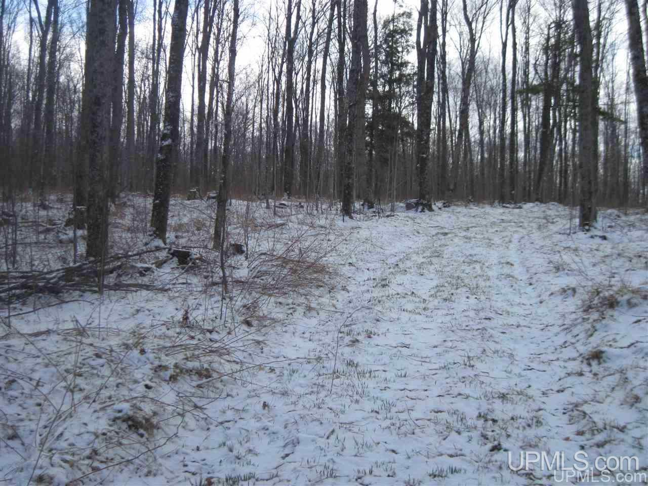 3475 Rd Iron River Iron River, MI 49935 - Photo 10 of 15