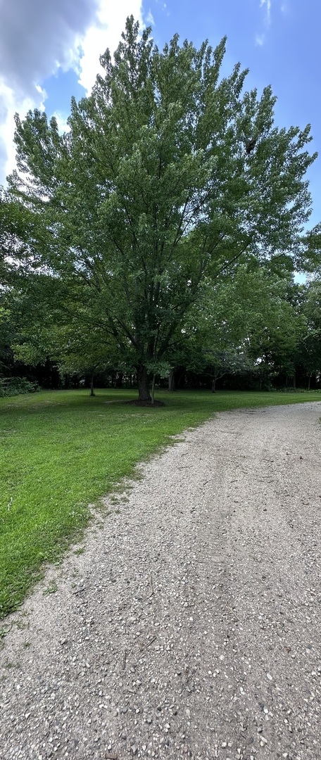 6805 Johnsburg Road Spring Grove, IL 60081 - Photo 74 of 79