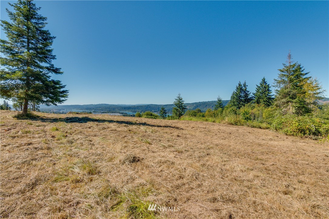 245 Risley Road, Unit 2 Kelso, WA 98626 - Photo 6 of 12 Gallery Image 6
