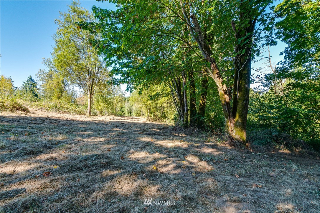 245 Risley Road, Unit 2 Kelso, WA 98626 - Photo 7 of 12 Gallery Image 7
