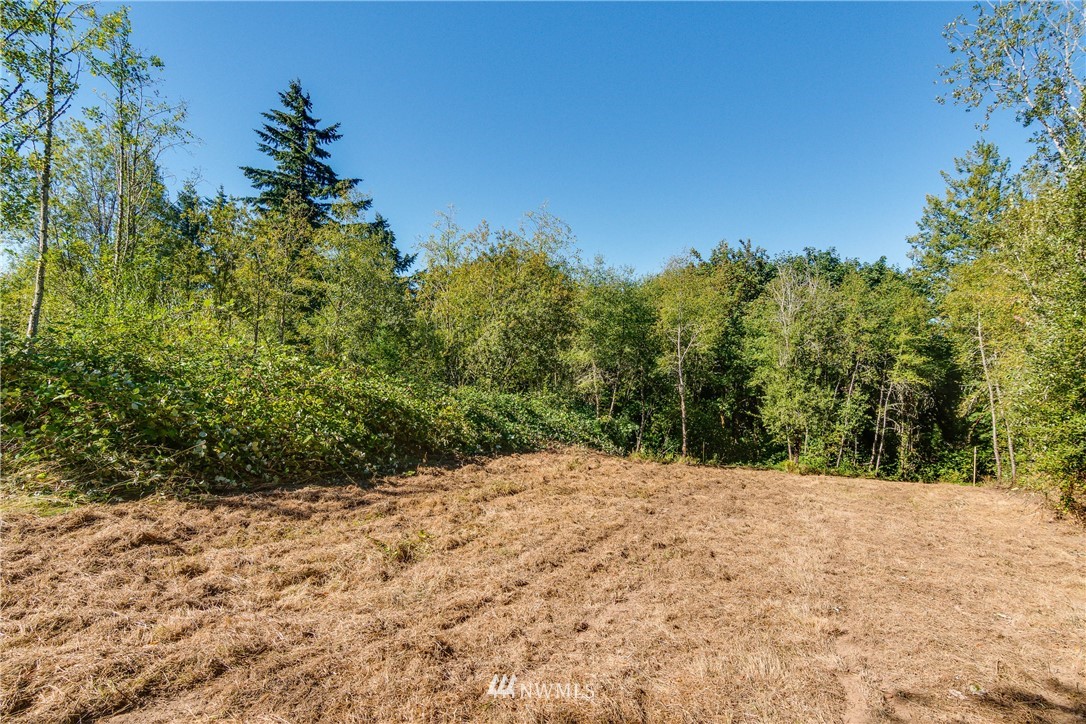 245 Risley Road, Unit 2 Kelso, WA 98626 - Photo 8 of 12 Gallery Image 8