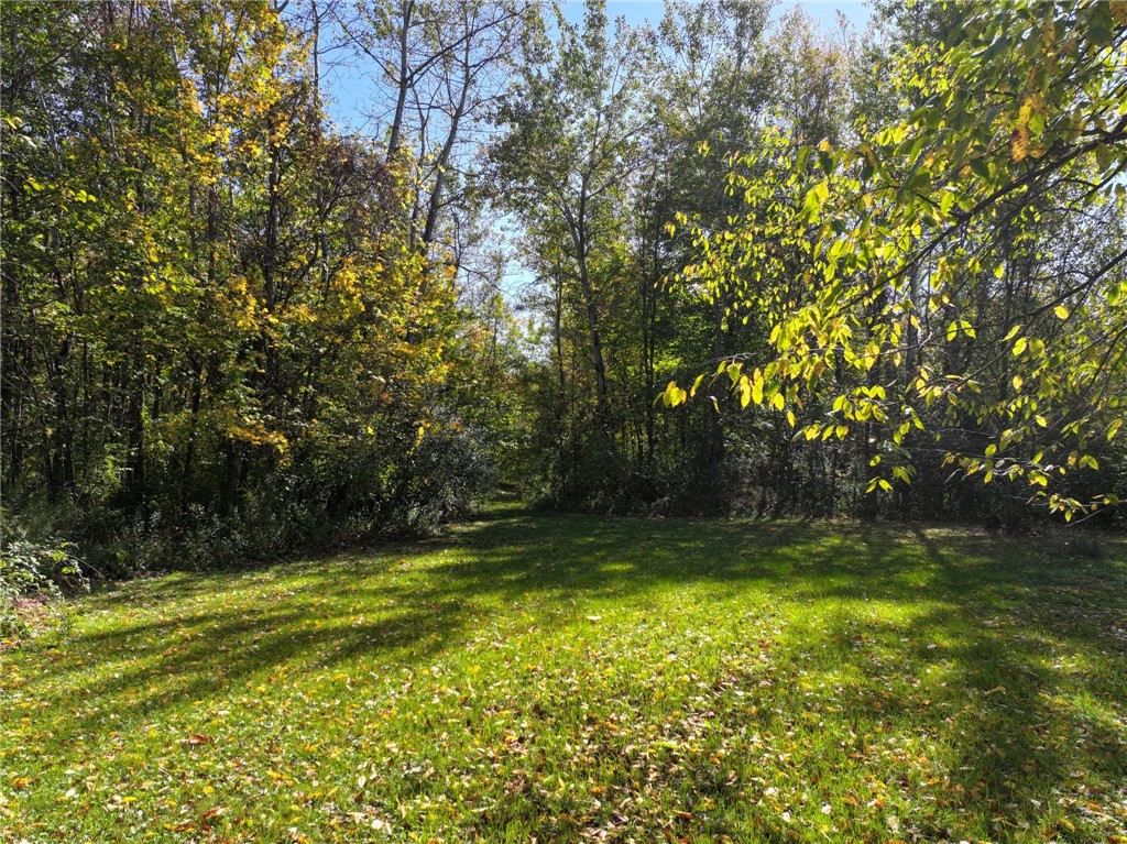 13562 Jenkins Road Red Creek, NY 13143 - Photo 4 of 22