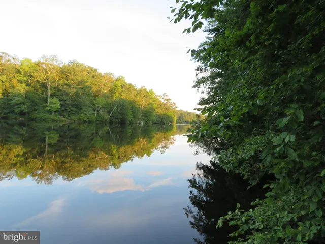 a view of outdoor space and trees