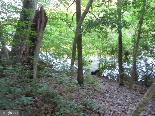 a view of a backyard with plants