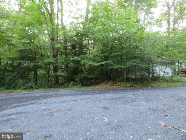 a view of outdoor space with trees