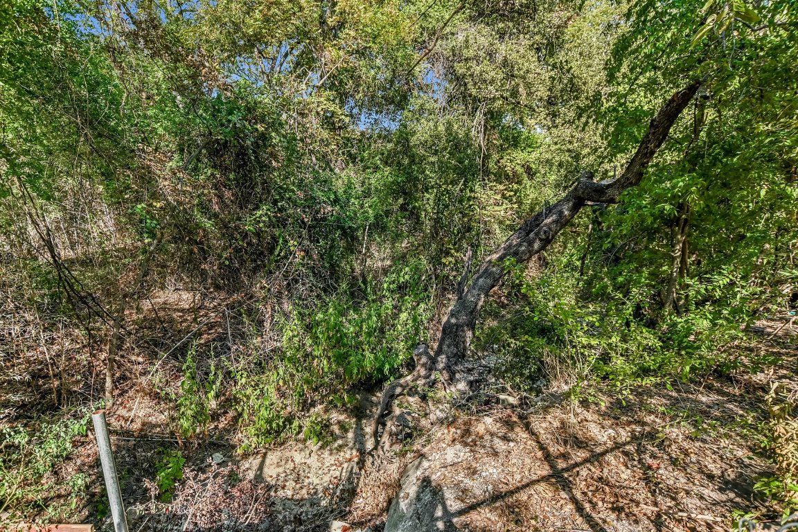 736 Wales Way Austin, TX 78748 - Photo 22 of 25 a view of a yard with plants and wooden fence