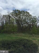 Annapolis Road Odenton, MD 21113 - Photo 9 of 10 a view of outdoor space and yard