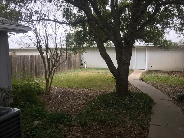 a view of a tree in a yard