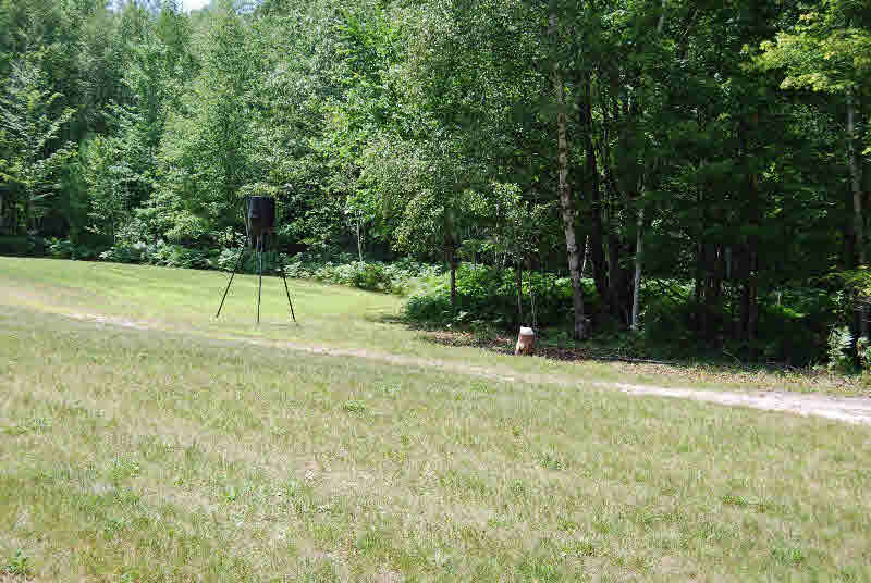 1830 Bentley Road Bentley, MI 48613 - Photo 19 of 21