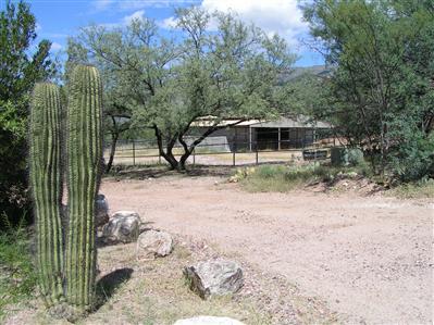 6955 South X9 Ranch Road Vail, AZ 85641 - Photo 6 of 7 Gallery Image 6