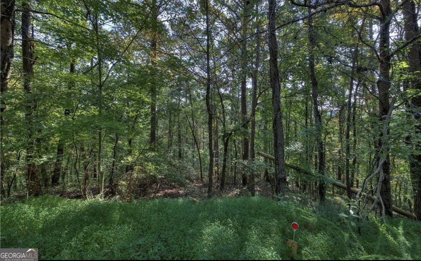 1037 Astro Court Ranger, GA 30734 - Photo 5 of 12 Spring Season Photo