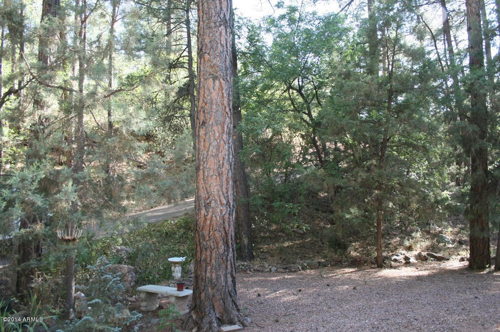 6414 Sharyn Road Pine, AZ 85544 - Photo 20 of 20 Side yard