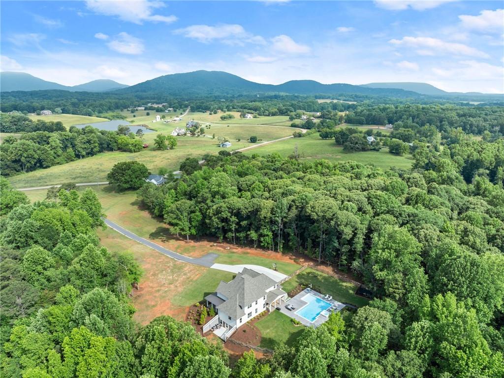6998 Britt Gailey Road Clermont, GA 30527 - Photo 87 of 92