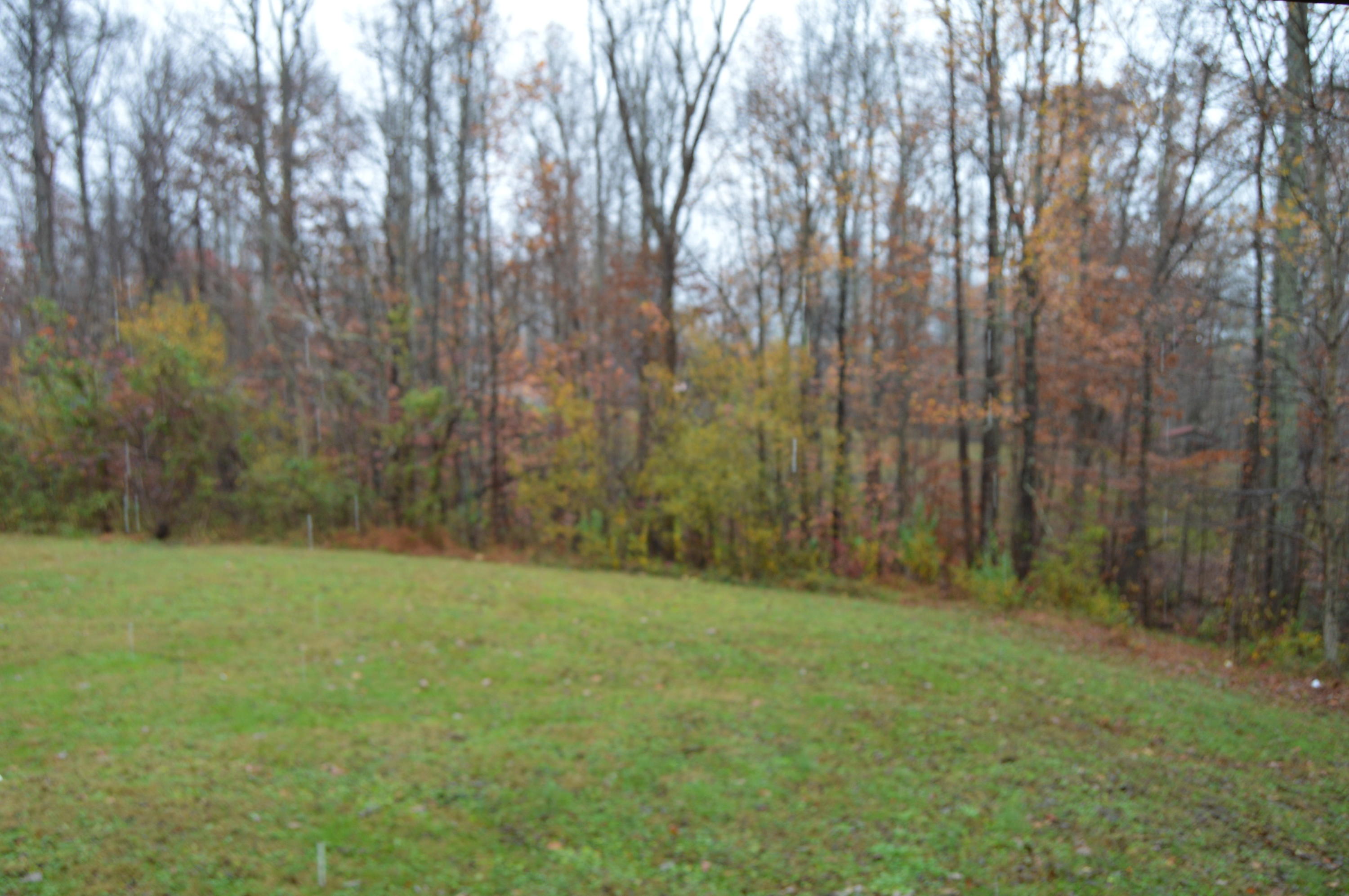 430 Bowling Road Robbins, TN 37852 - Photo 21 of 31 DSC_0690