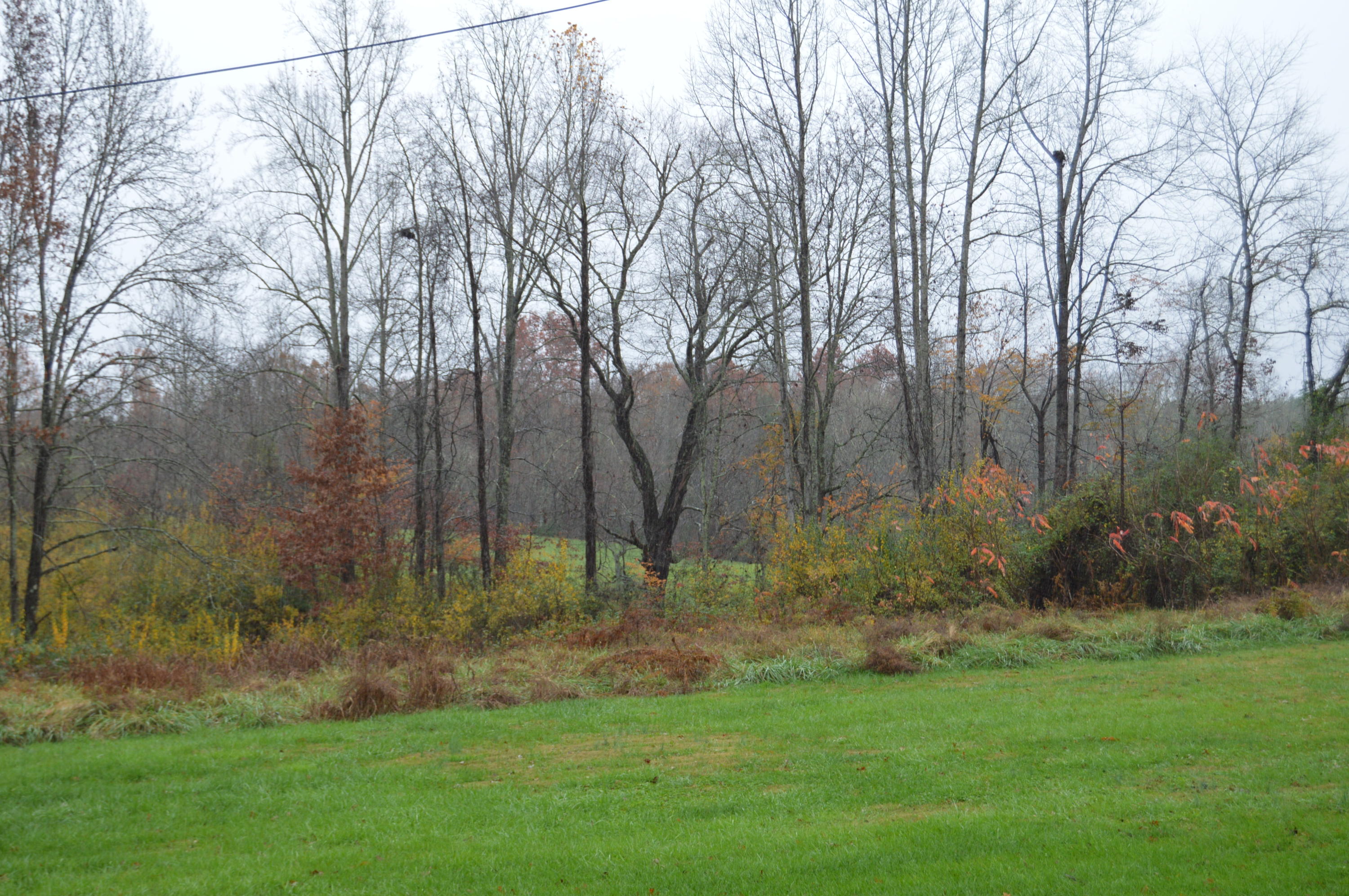 430 Bowling Road Robbins, TN 37852 - Photo 23 of 31 DSC_0700