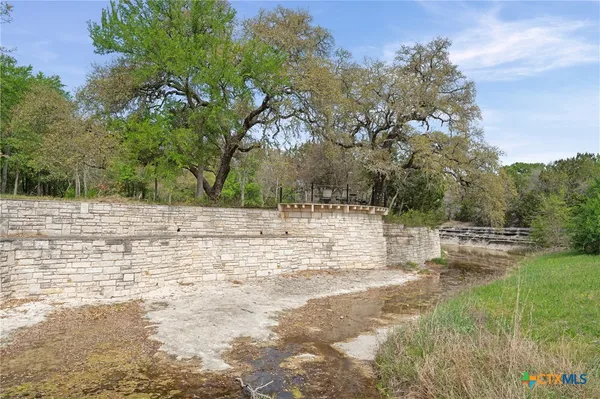 a view of yard covered with trees