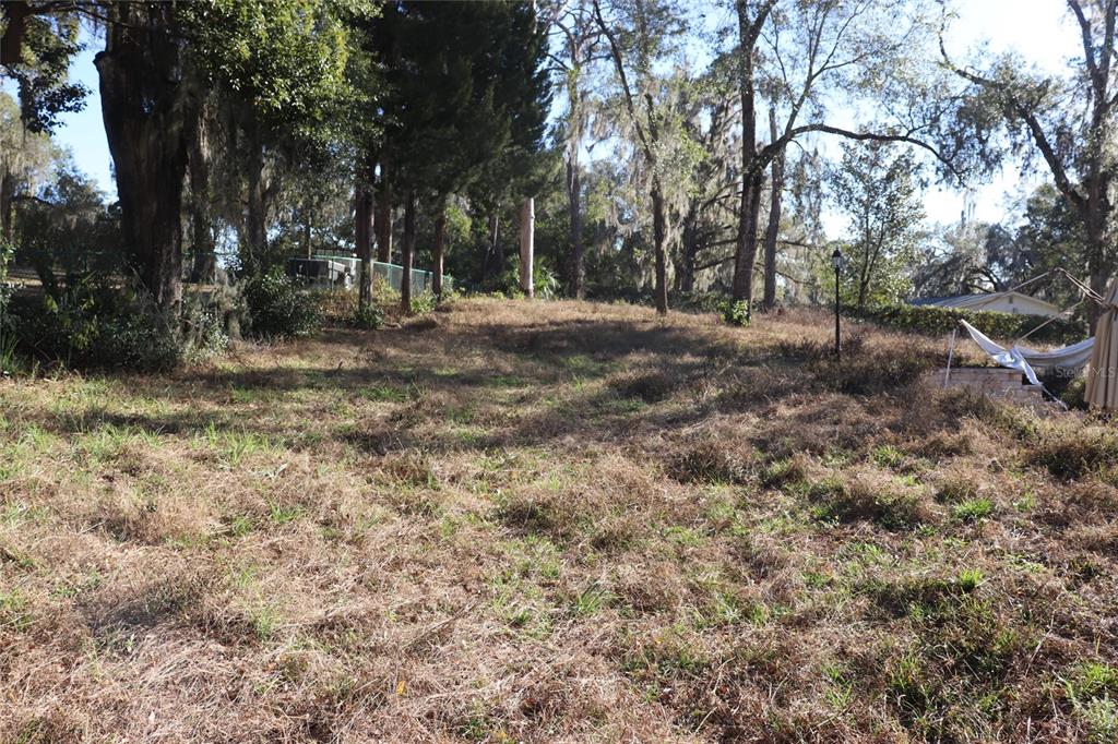 401 South Pine Avenue Inverness, FL 34452 - Photo 21 of 29