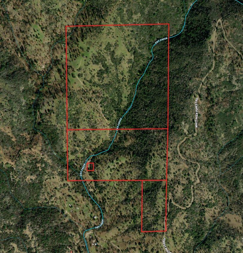 0 Whitaker Forest Road Miramonte, CA 93603 - Photo 13 of 15 Aerial Map