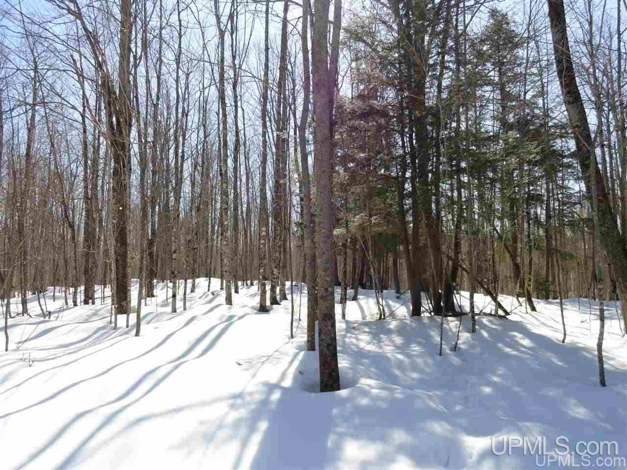 240-acres Leek Road Covington, MI 49919 - Photo 14 of 50