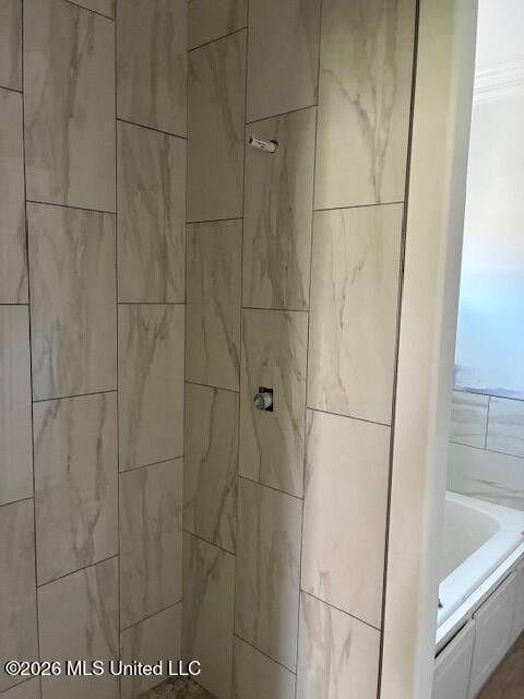 102 St Martin Street Madison, MS 39110 - Photo 9 of 14 primary shower
