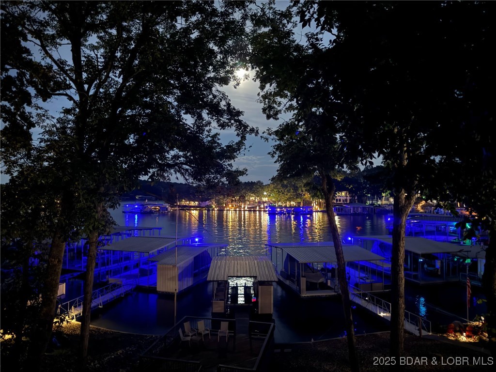 1125 Anemone Road Four Seasons, MO 65049 - Photo 10 of 25 View at Night