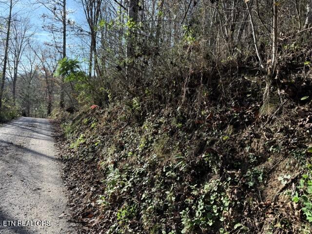 1550 Chapel Hollow Road Del Rio, TN 37727 - Photo 1 of 15 IMG_0449