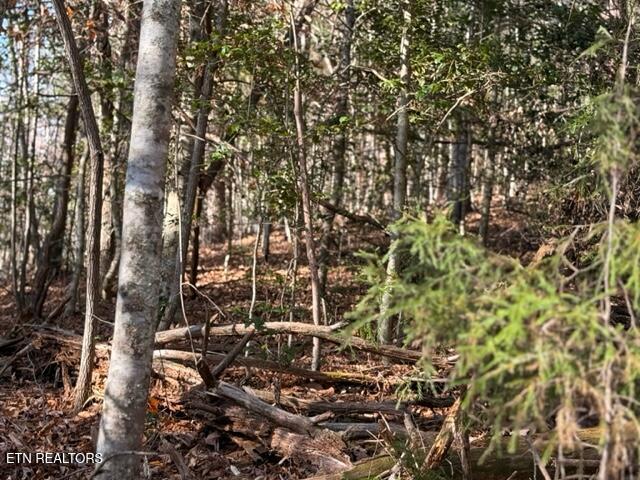 1550 Chapel Hollow Road Del Rio, TN 37727 - Photo 11 of 15 IMG_0466