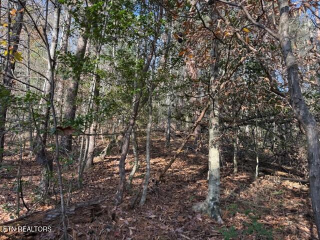 1550 Chapel Hollow Road Del Rio, TN 37727 - Photo 12 of 15 IMG_0468
