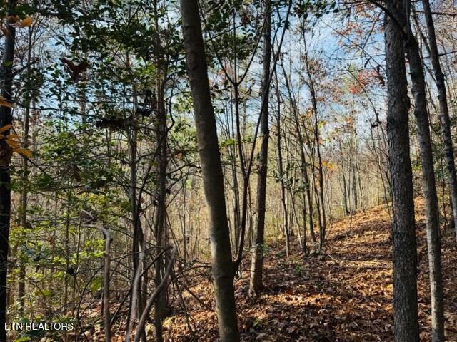 1550 Chapel Hollow Road Del Rio, TN 37727 - Photo 14 of 15 IMG_0471