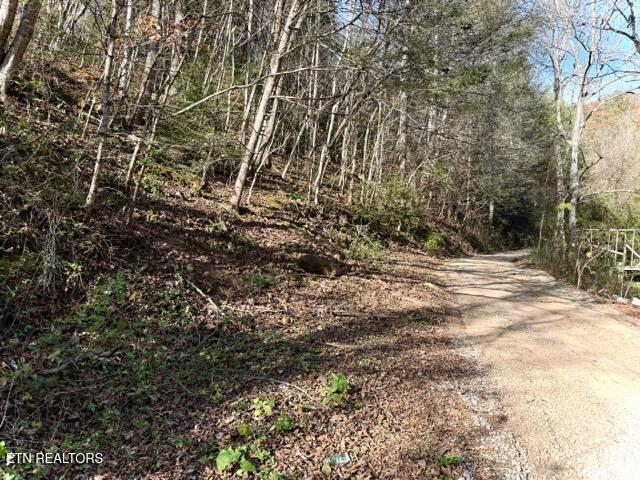 1550 Chapel Hollow Road Del Rio, TN 37727 - Photo 2 of 15 IMG_0450