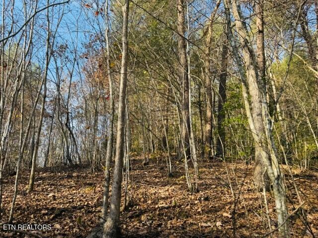 1550 Chapel Hollow Road Del Rio, TN 37727 - Photo 5 of 15 IMG_0456