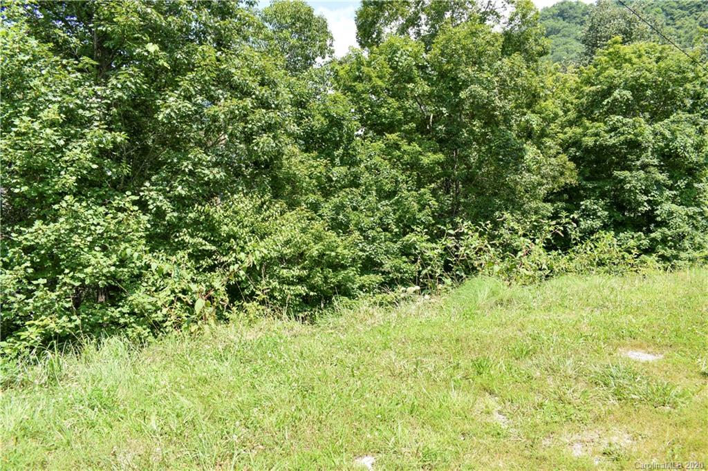 Lot 7 Timber Estates Road, Unit 7 Bryson City, NC 28713 - Photo 3 of 12 Gallery Image 3